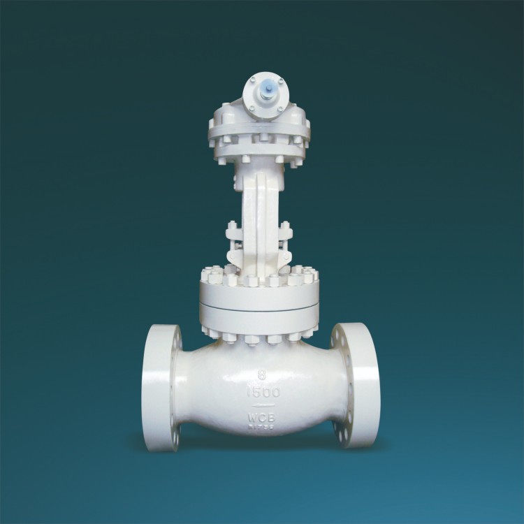 Double Disc Globe Valve